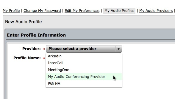 Selecting an Audio Provider